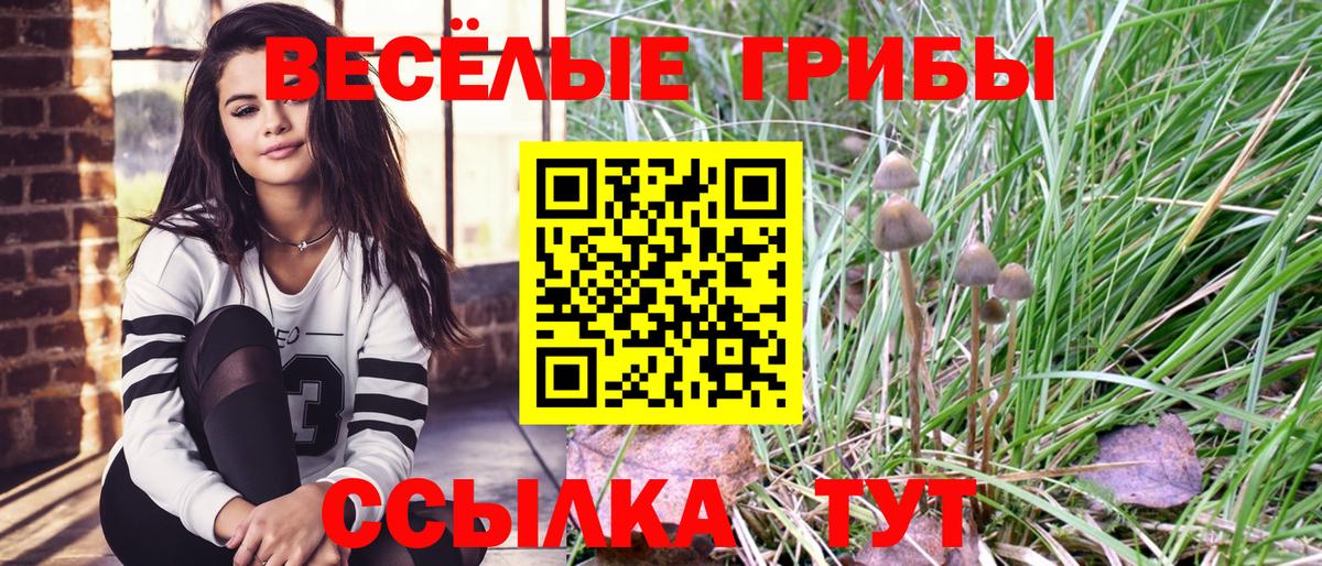 Псилоцибиновые грибы Psilocybe  Галлюциногенные грибы ЛСД  Вход с VPN  Отрадный 